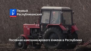 Посевная кампания ярового ячменя в Республике