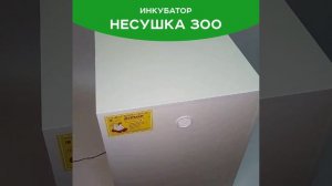 несушка 300