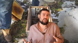 Как стимулировать пчел весной Профилактики болезней пчел. Перец пчелам и на пасе