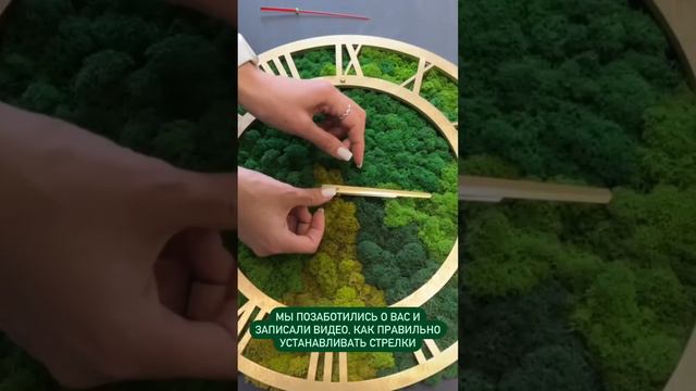 КАК ПРАВИЛЬНО УСТАНАВЛИВАТЬ СТРЕЛКИ НА ЧАСЫ ИЗ МХА🌿