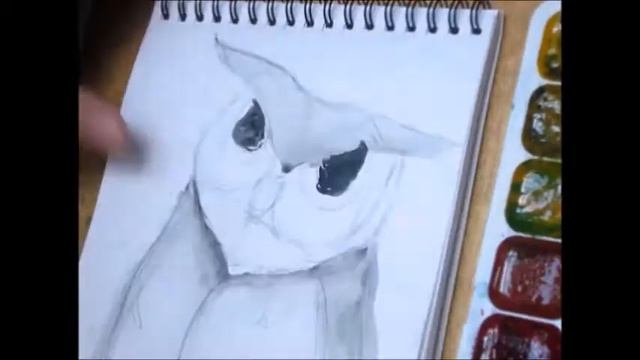 как нарисовать сову акварелью / скетч / art make