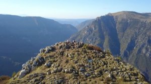 Durmitor National park. Near Zabljak, Montenegro