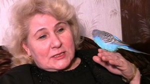 Зверьё моё.....