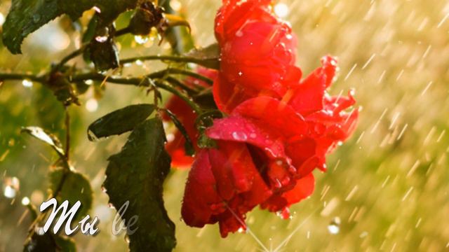 С Добрым днем вас, друзья! ❤️Вот и встретились Лето и Осень...❤️ музыкальная открытка!❤️ смотреть онлайн