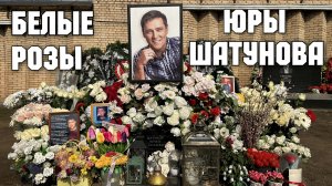 Могила ЮРИЯ ШАТУНОВА утопает в белых розах от поклонников на Троекуровском кладбище Москвы