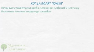 Теперь точно различаю! Как отличить почечную боль от поясничной?