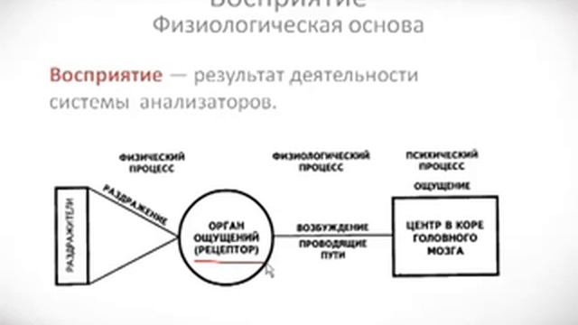 Психология урок 18 Восприятие