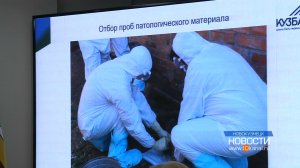 В Новокузнецке провели учения на случай угрозы заражения сибирской язвой