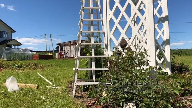 ОПОРА для клематиса смотреть онлайн