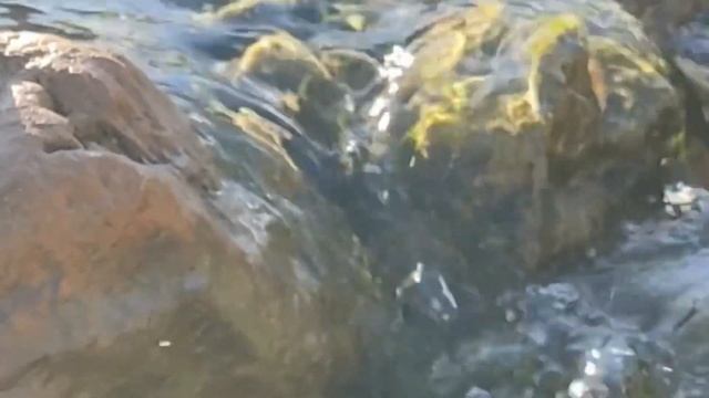 Beautiful Relaxation Music | Deep Sleeping Music | Soft Piano Music | Water Sounds | Calm Music смотреть онлайн