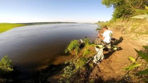 Сазан на фидер на Оке. Неожиданный трофей.