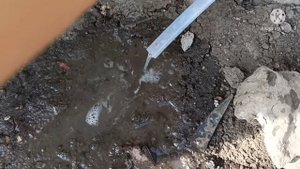 Лучший перегон Сахарной браги на НБК 51