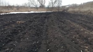 Начало сезона выращивания зелени на продажу