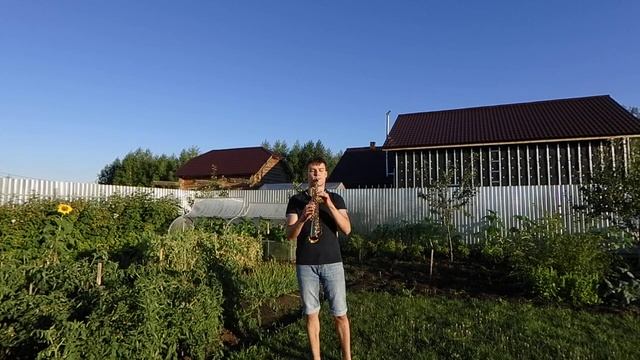 Дачные занятия?