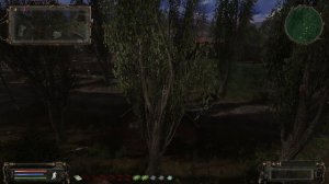 S.T.A.L.K.E.R. 2023. Фотографируем Монолит. Часть #222 НС+OGSR Патч от 01.2023