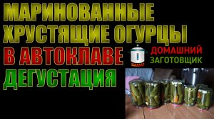 Маринованные огурцы в автоклаве "Заготовщик". Дегустация по многочисленным просьбам.