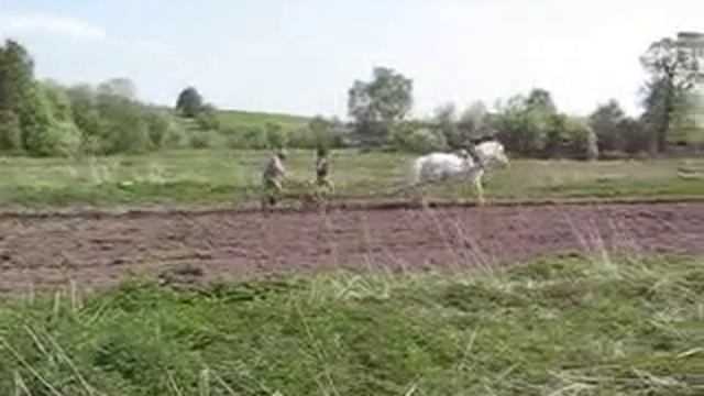 вспашка огорода  лошадью