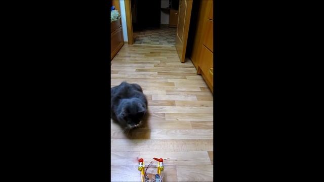 Защита от помех электродвигателей практика