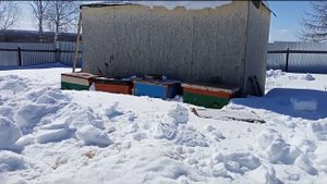 Строительство апидомика из поддонов. День второй..mp4