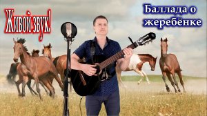 Вячеслав Малежик, исп. Владимир Need Soul Кузьмин - Баллада о жеребёнке (cover version)