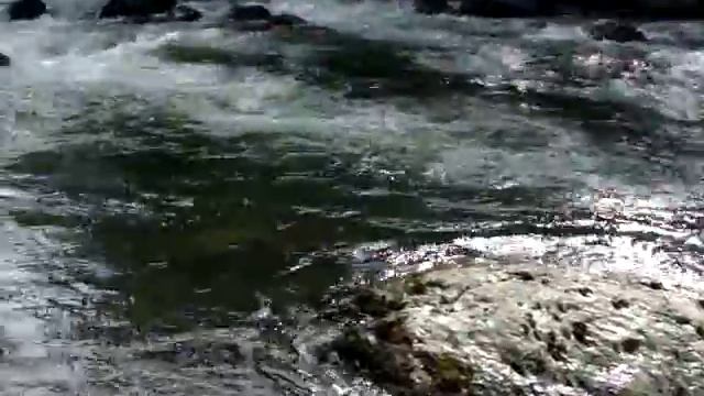 Абхазия с.Арасадзых река Моква смотреть онлайн