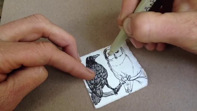 Raven Owl Time Lapse Ink Drawing смотреть онлайн