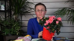 Какой грунт выбрать для цветов ☘️  грунты, цветы, выращивание?