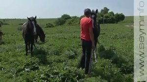 Необычная ферма в Курской области