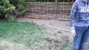 Репка, крымский вариант или как правильно посадить бамбук!