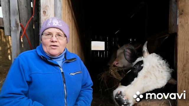 МИНИ-ФЕРМА:РАБОТАЮ НА ХОЗЯЙСТВЕ!ХОТИТЕ ПЕРЕЕЗЖАТЬ В ДЕРЕВНЮ-ПАКУЙТЕ ЧЕМОДАНЫ!ВЕСНА-ЛУЧШЕЕ ВРЕМЯ!