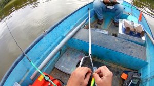 Рыбалка на Ахтубе. Судак на троллинг.