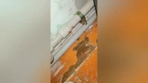 Течь в пластиковых трубах