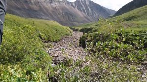 Шумак 2020. Долина ста источников. Тайна Шумака. Часть 1