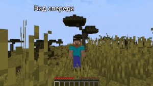 Как в Майнкрафте посмотреть на себя с разных сторон (переключить перспективу)