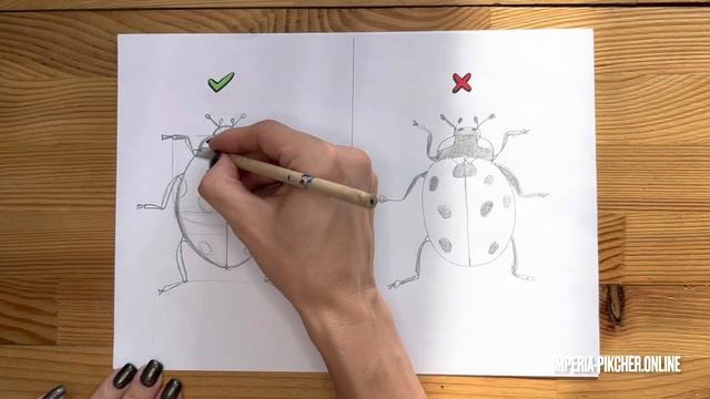Как нарисовать божью коровку правильно и не правильно смотреть онлайн