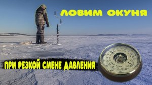 Как клюёт окунь при резкой смене атмосферного давления