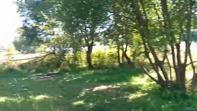 Сходня (отдых) Верескинский пруд