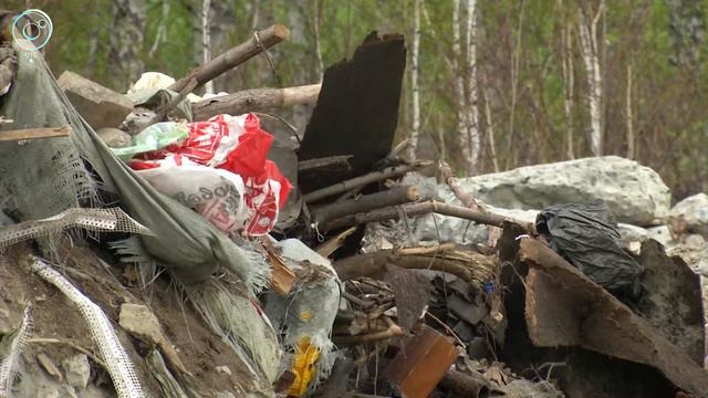 800 нелегальных свалок ликвидируют в Новосибирской области. Кто уберёт тонны мусора? смотреть онлайн