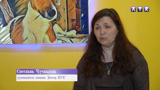 Ветеринарная клиника "Доктор ПУХ" смотреть онлайн