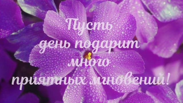 #пожелания доброго дня смотреть онлайн