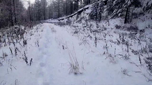 ГЛЦ Абзаково открытие сезона 2022-2023)))....пухляк? 04.11.2022 смотреть онлайн