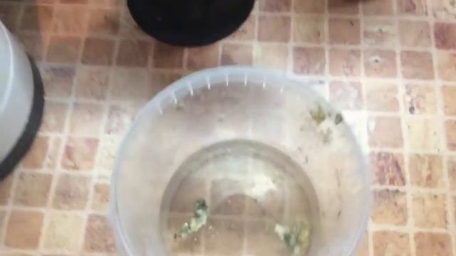 Поможет ли кипяток прочистить засор?
