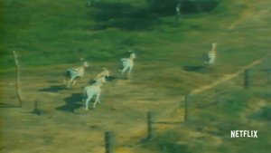 Tuyo - Narcos (Theme Song Cover)