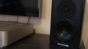 Sonus Faber Liuto Monitor/Marantz NA8005/Marantz PM-17