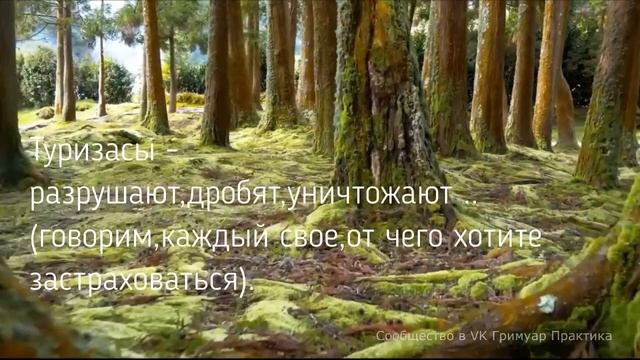 Рунический став : Живой щит , автор Светлана Соуло