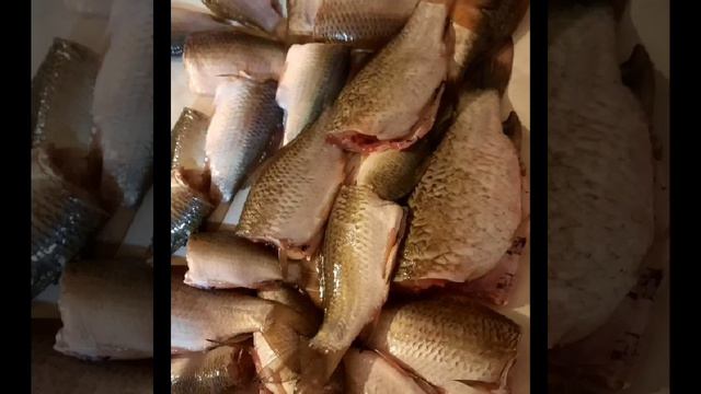 рыбалка#карасики#