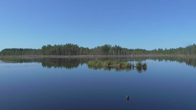 Водоём около Орбиты