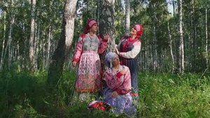 «Плывут туманы белые»