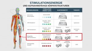 6# Behandlungsenergie und die aufnahmefähigen Körperstrukturen. SCENAR-NT.