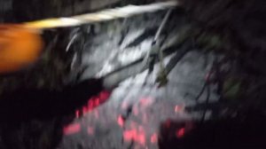 Рыбалка Щербани , на чудо планктон "фирмы ск "трофей за трофеем, рвут леску, ломают подсак .